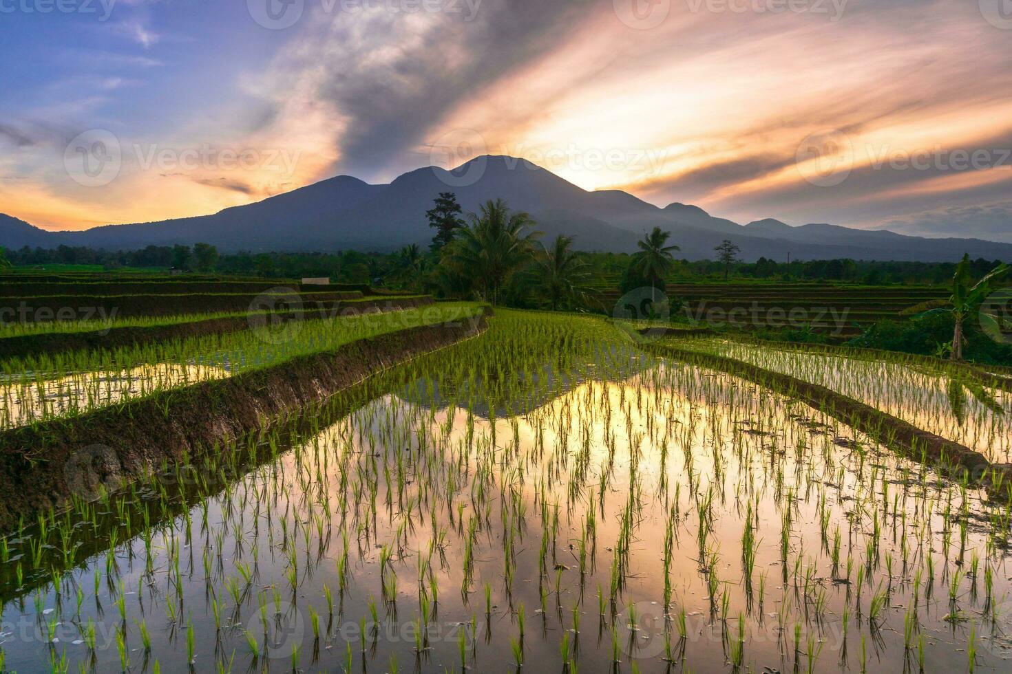 bellissimo mattina Visualizza Indonesia panorama paesaggio risaia i campi con bellezza colore e cielo naturale leggero foto