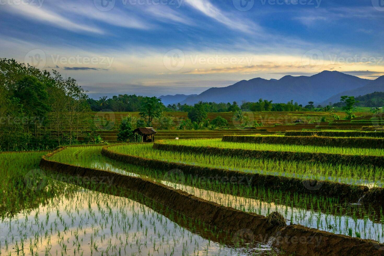 bellissimo mattina Visualizza Indonesia panorama paesaggio risaia i campi con bellezza colore e cielo naturale leggero foto