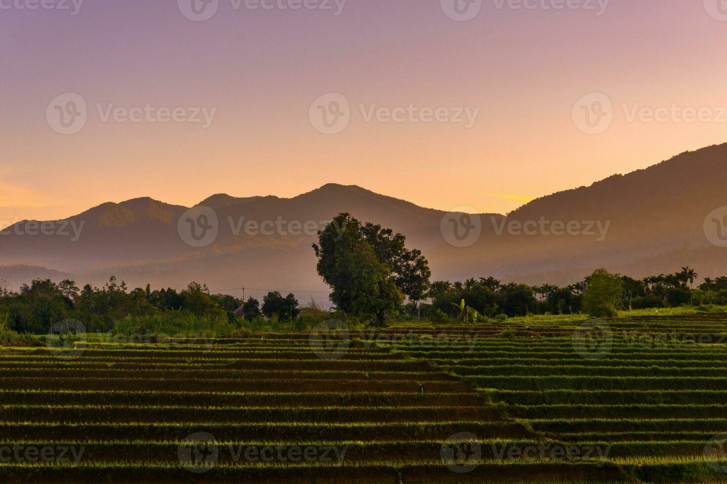 bellissimo mattina Visualizza Indonesia panorama paesaggio risaia i campi con bellezza colore e cielo naturale leggero foto