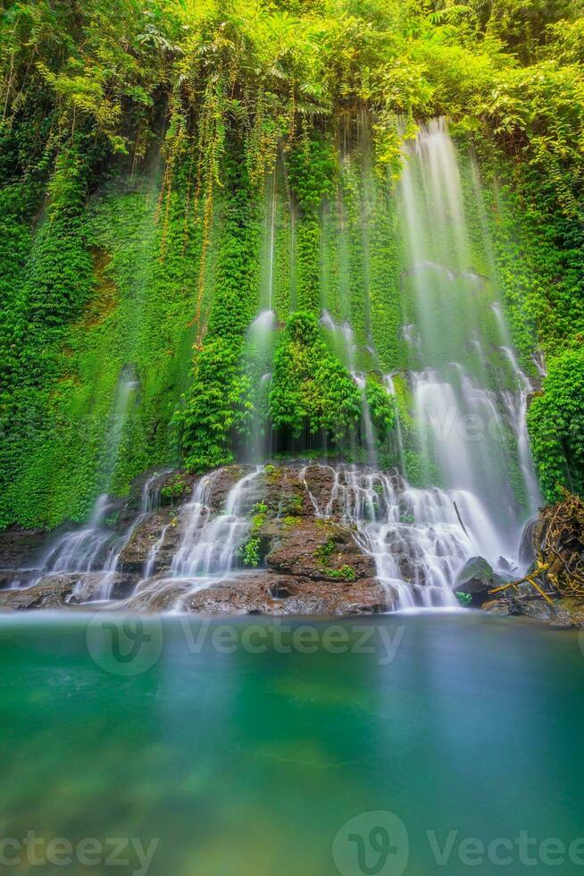 bellissimo mattina Visualizza Indonesia. panorama paesaggio risaia i campi con bellezza colore e cielo naturale leggero foto