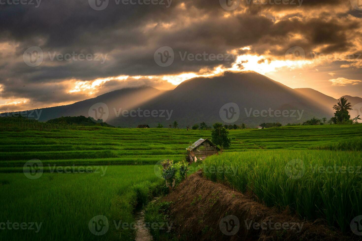 bellissimo mattina Visualizza Indonesia panorama paesaggio risaia i campi con bellezza colore e cielo naturale leggero foto