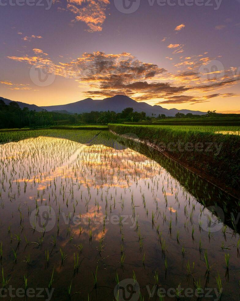 bellissimo mattina Visualizza Indonesia panorama paesaggio risaia i campi con bellezza colore e cielo naturale leggero foto