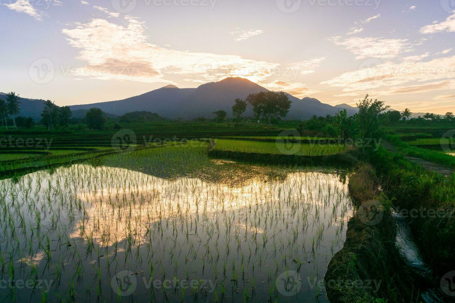 bellissimo mattina Visualizza Indonesia panorama paesaggio risaia i campi con bellezza colore e cielo naturale leggero foto