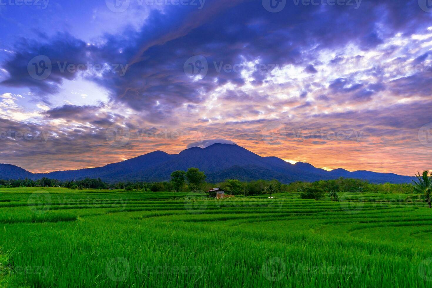 bellissimo mattina Visualizza Indonesia panorama paesaggio risaia i campi con bellezza colore e cielo naturale leggero foto