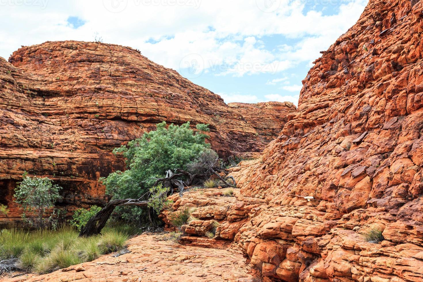 kings canyon territorio settentrionale australia foto