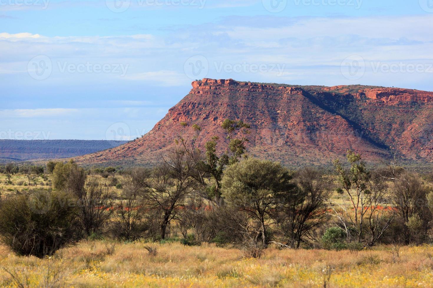 Kings Canyon dalla vedetta del territorio del nord Australia foto