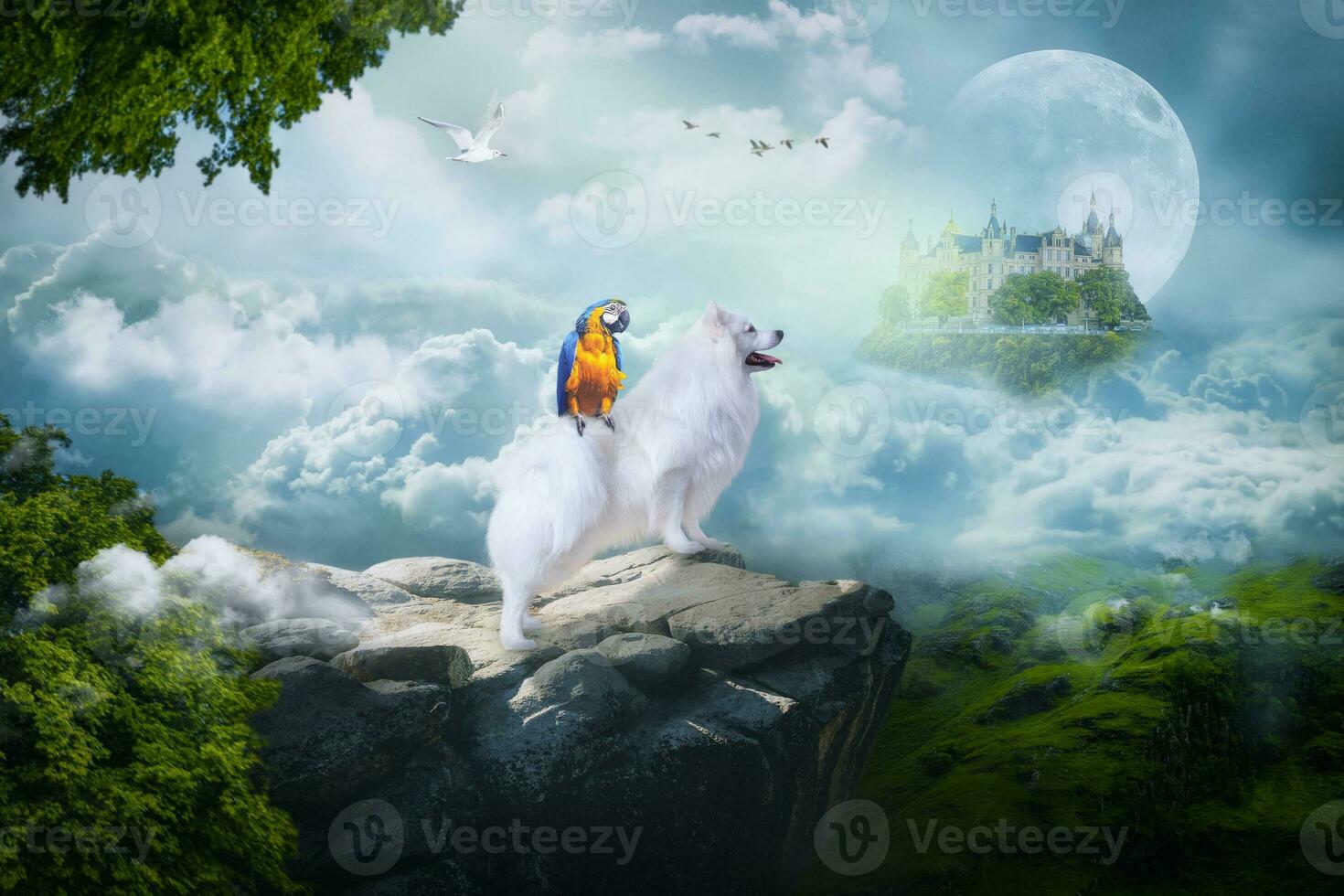 bianca soffice cane giapponese spitz simba e il suo amico pappagallo camminare da qualche parte nel il universo foto