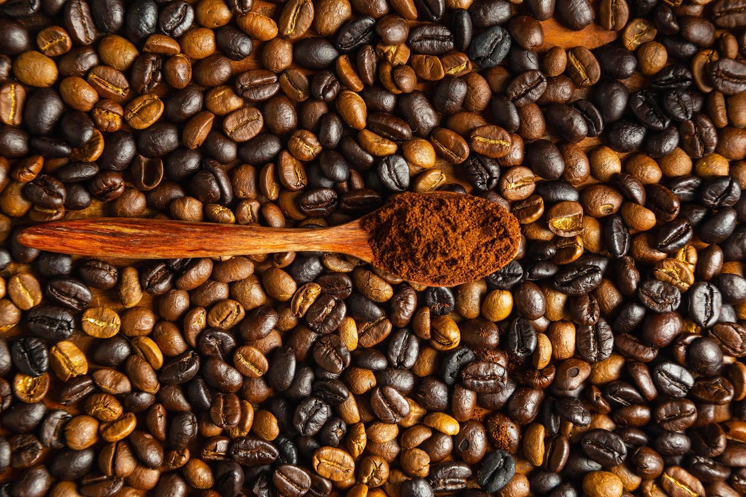 caffè macinato in polvere e caffè in grani tostato foto