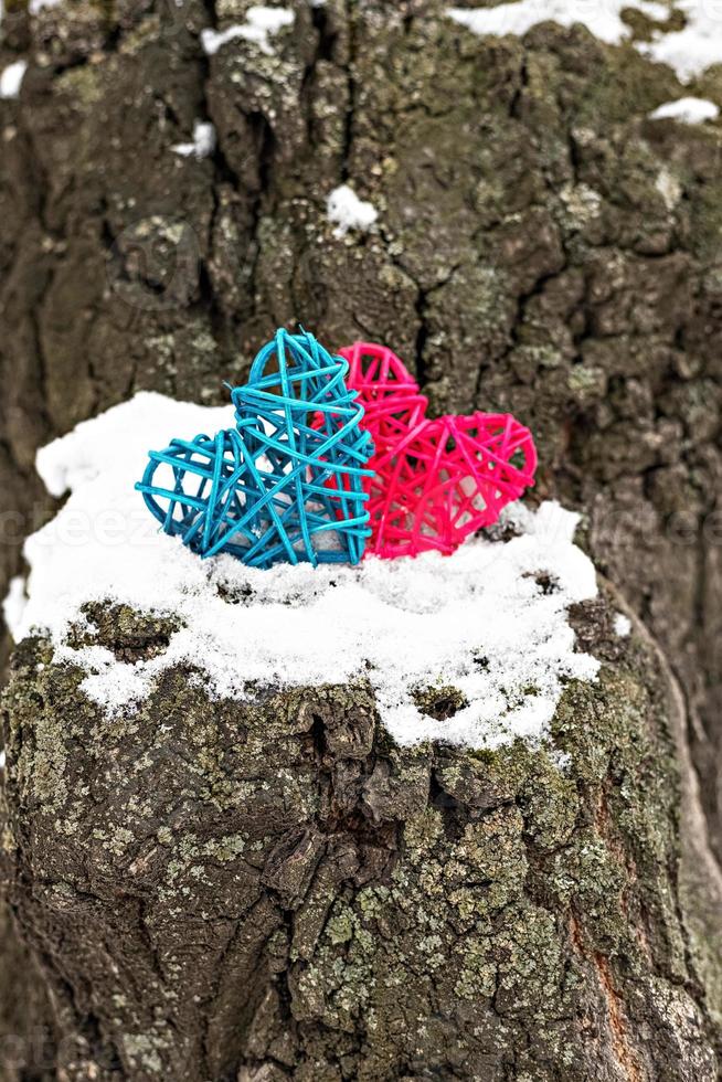 due cuori di rattan rosa e blu su un tronco d'albero innevato. il concetto di san valentino foto