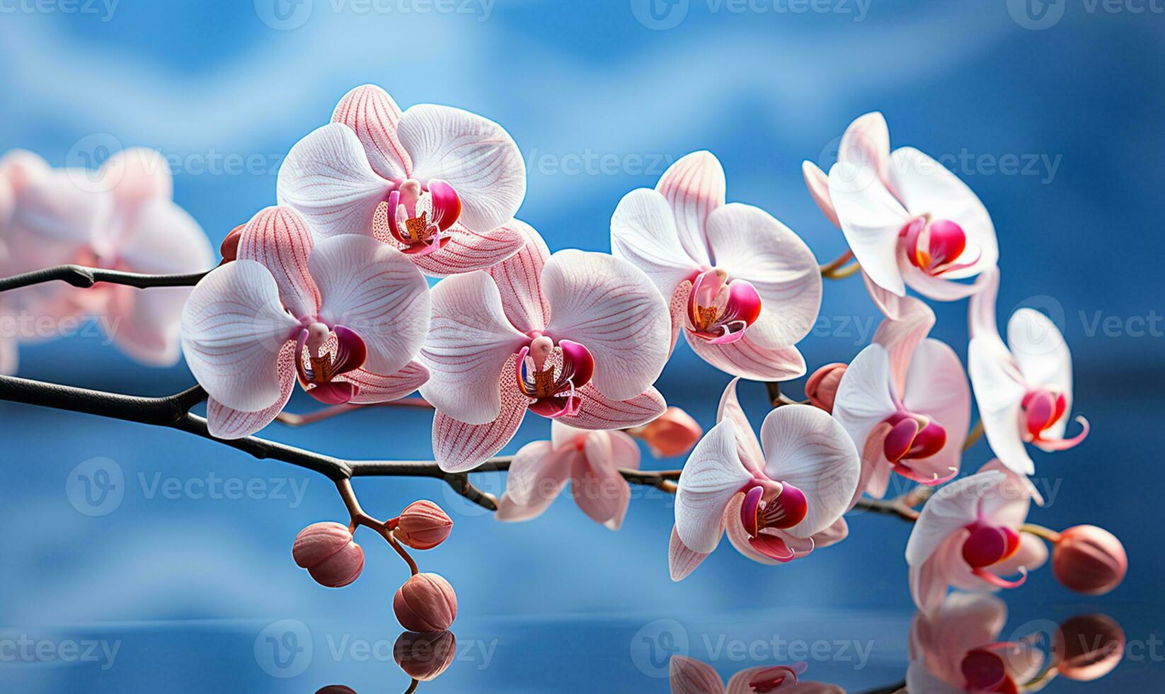 delicato rosa orchidea nel pieno fioritura. ai generato foto