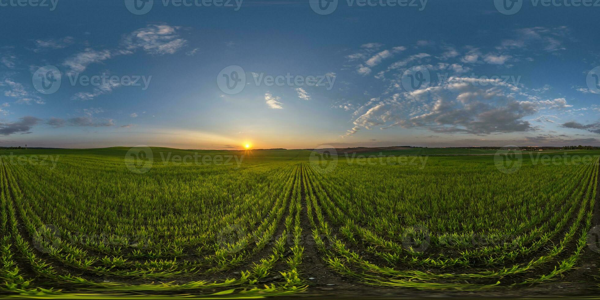 sferico 360 hdri panorama tra agricoltura campo con nuvole e sole su sera blu cielo prima tramonto nel equirettangolare senza soluzione di continuità proiezione, come cielo sostituzione nel fuco panorami, gioco sviluppo foto