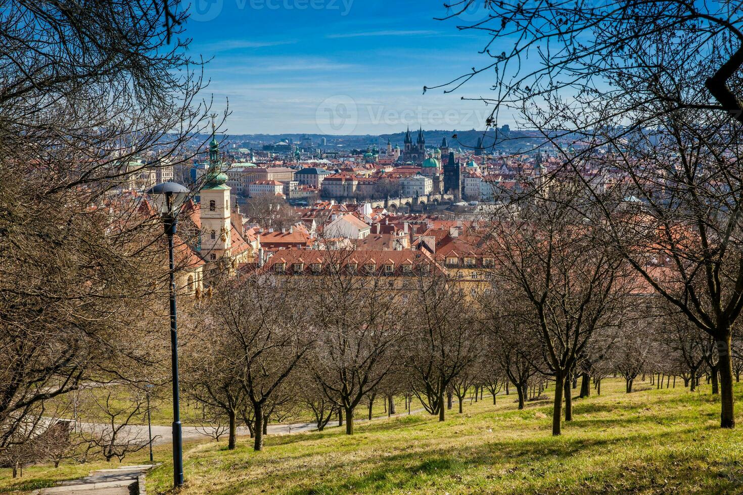 praga città visto a partire dal il petrin giardini su un' soleggiato giorno a il inizio di primavera foto