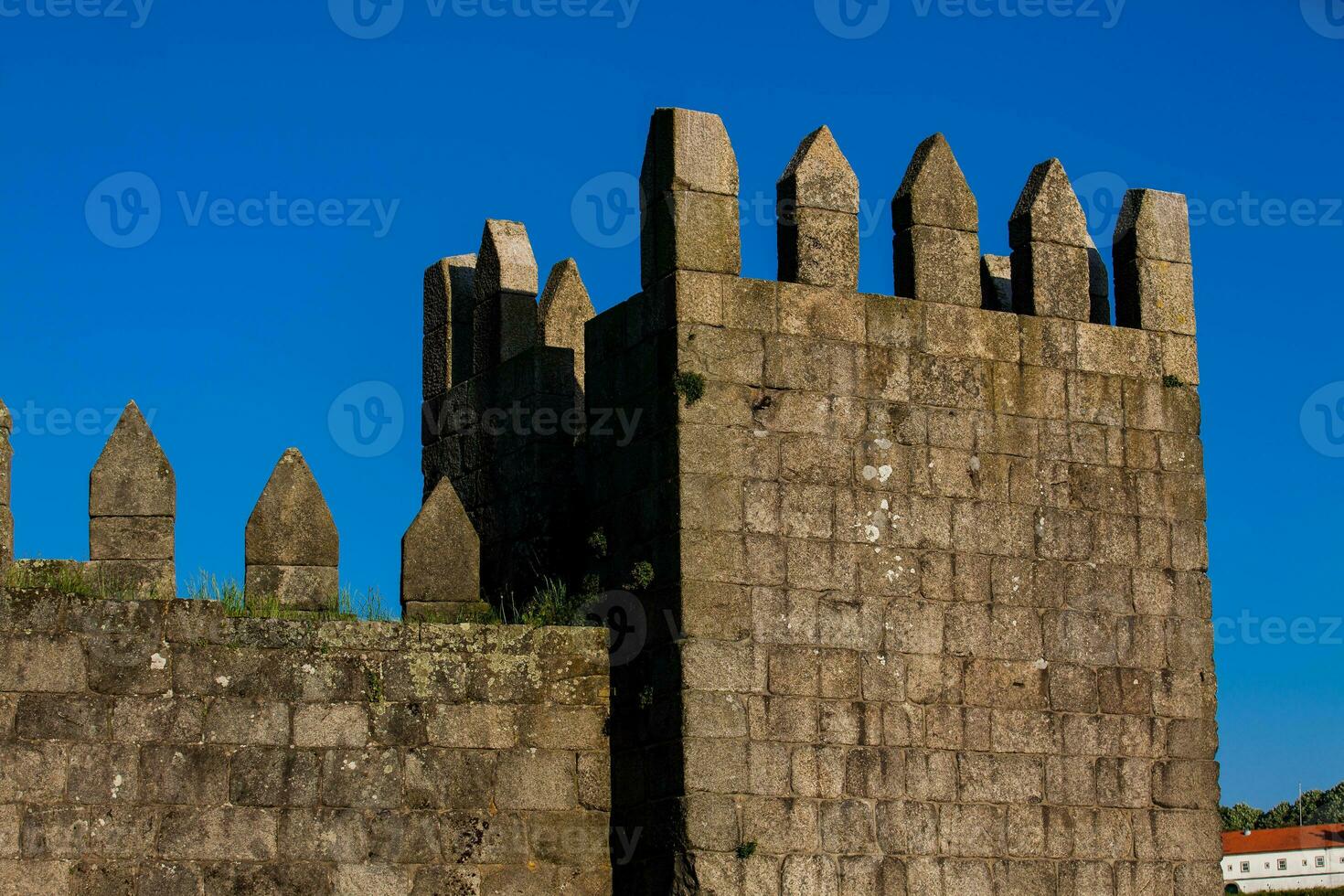 dettaglio di il fernandine muri di porto collocato Il prossimo per il dom luis io ponte nel un' bellissimo soleggiato giorno foto