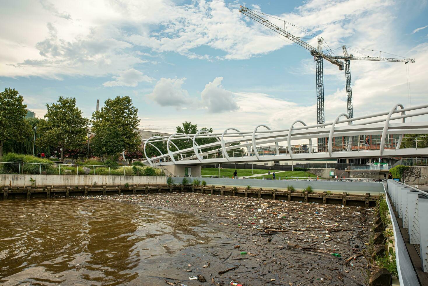 plastica sciupare, solido sciupare, legna patatine fritte nel il fiume, canale, laguna lungo il costa, lungo il banca. foto