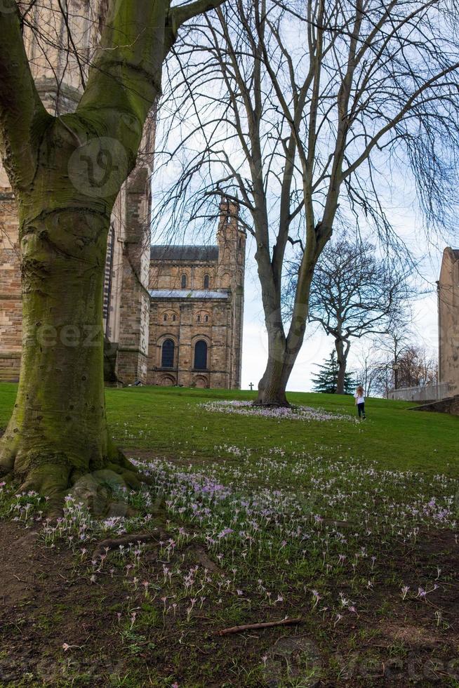 una ragazza corre in lontananza giocando nel cortile della cattedrale di Durham, Regno Unito foto
