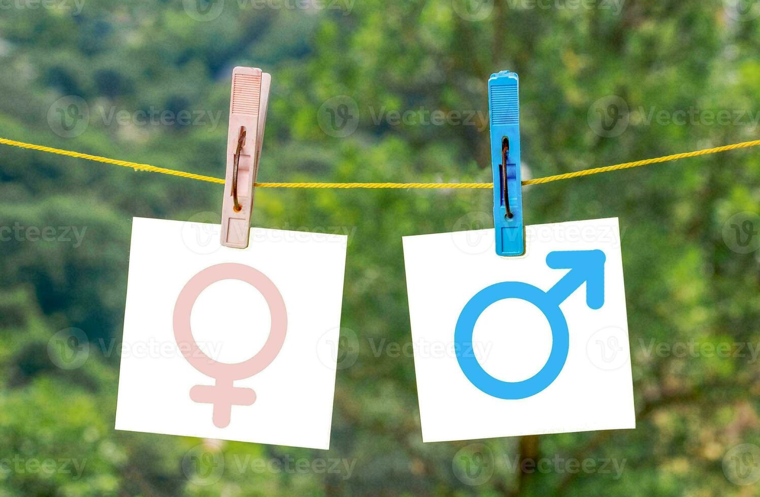 Genere uguaglianza concetto. maschio e femmina simbolo su il bilancia con equilibrio su blu sfondo. ragazza o ragazzo minimo stile, 3d rendere. foto