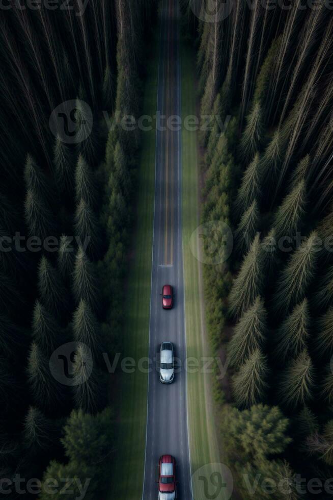 Due macchine guida giù un' strada nel il mezzo di un' foresta. ai generato foto