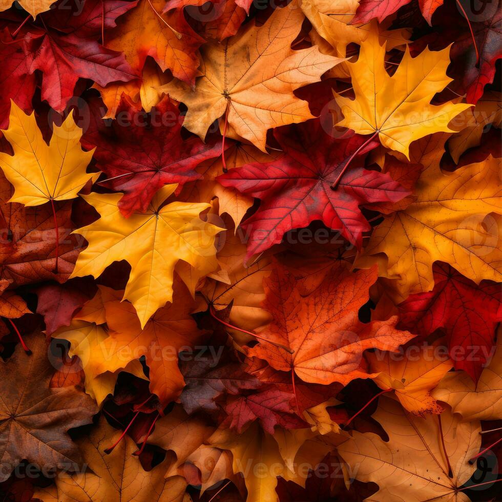 rosso e arancia autunno le foglie sfondo. all'aperto. colorato backround Immagine di caduto autunno le foglie Perfetto per di stagione uso. generativo ai tecnologia foto