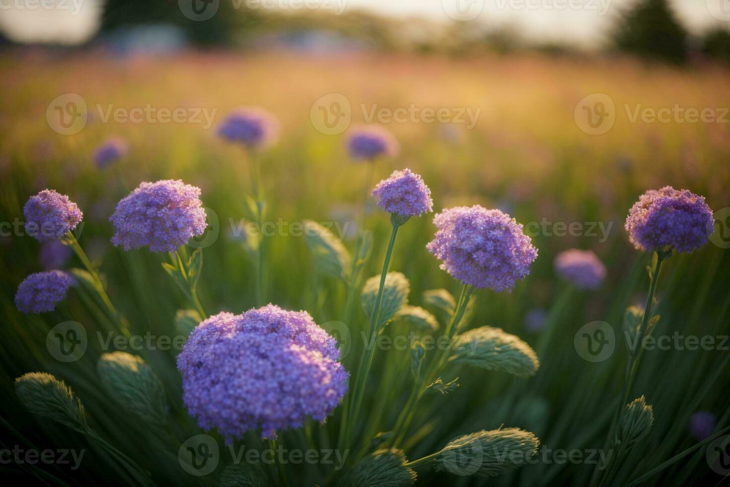 un' campo pieno con molte di viola fiori. ai generato foto