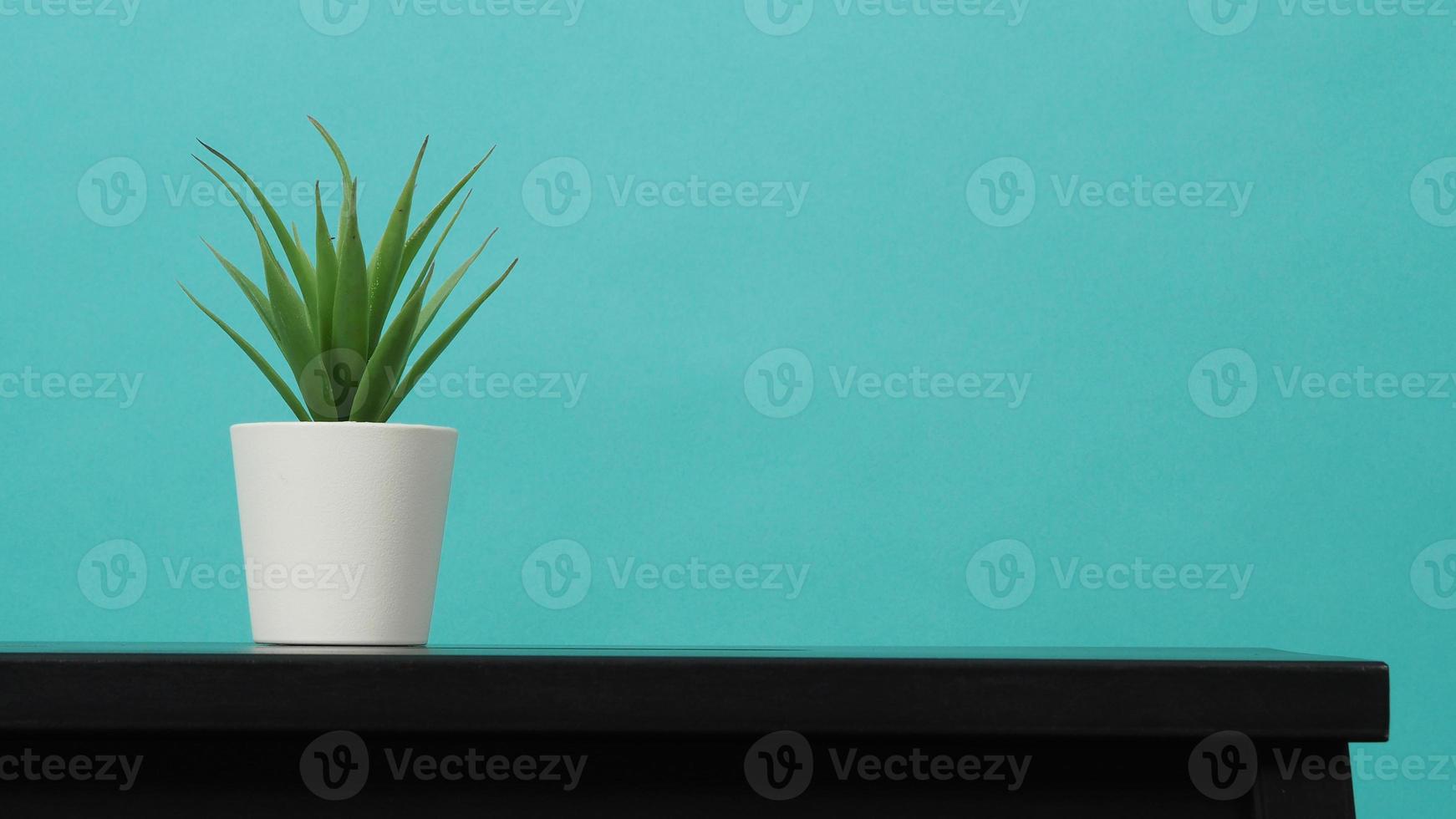pianta di cactus artificiale sulla scrivania con sfondo verde menta foto