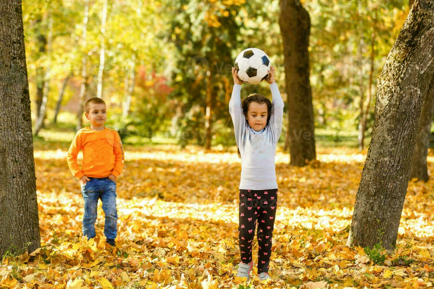 poco ragazza con palla nel il autunno parco foto