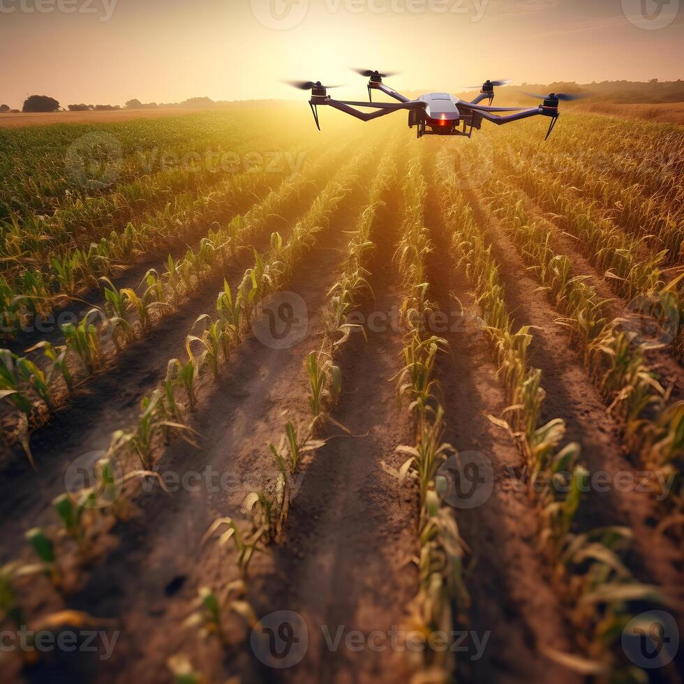 quadcopter al di sopra di un' campo di mais a tramonto. inteligente agricoltura. fuco uso per sicurezza, terreno lettura tecnologia, monitoraggio prodotto. sfocato campo sfondo. generativo ai foto