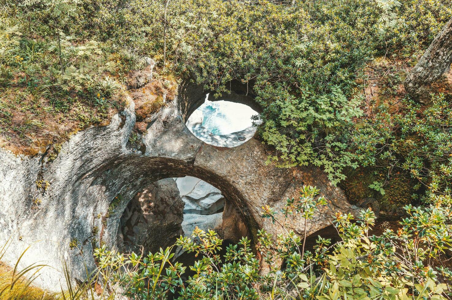 del gigante bollitore io Svizzera foto