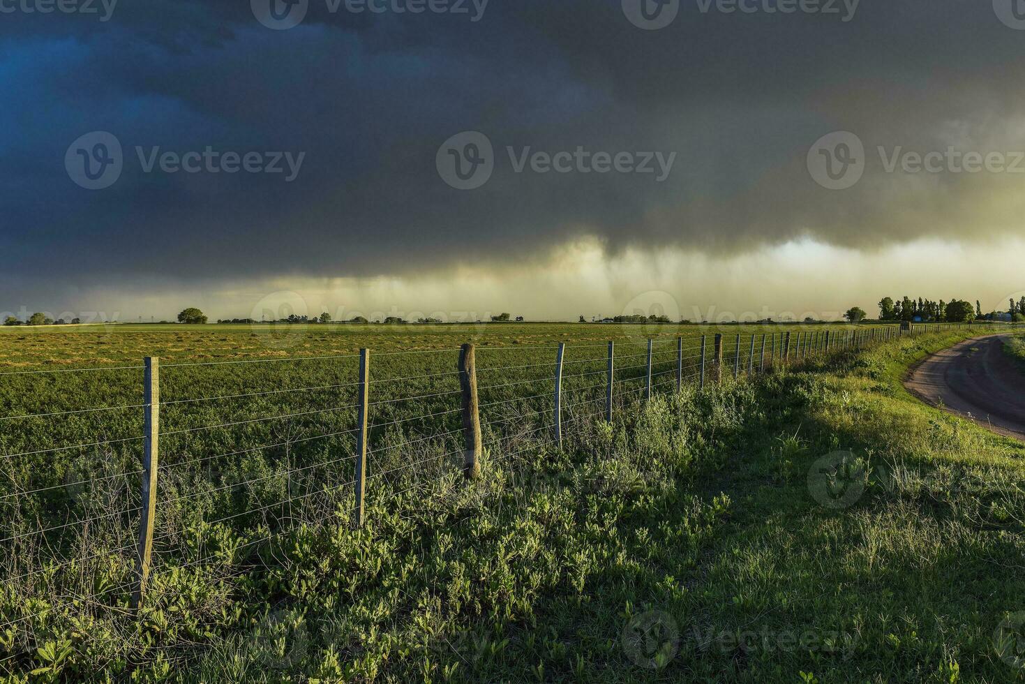 tempestoso cielo dovuto per pioggia nel il argentino campagna, la pampa Provincia, patagonia, argentina. foto