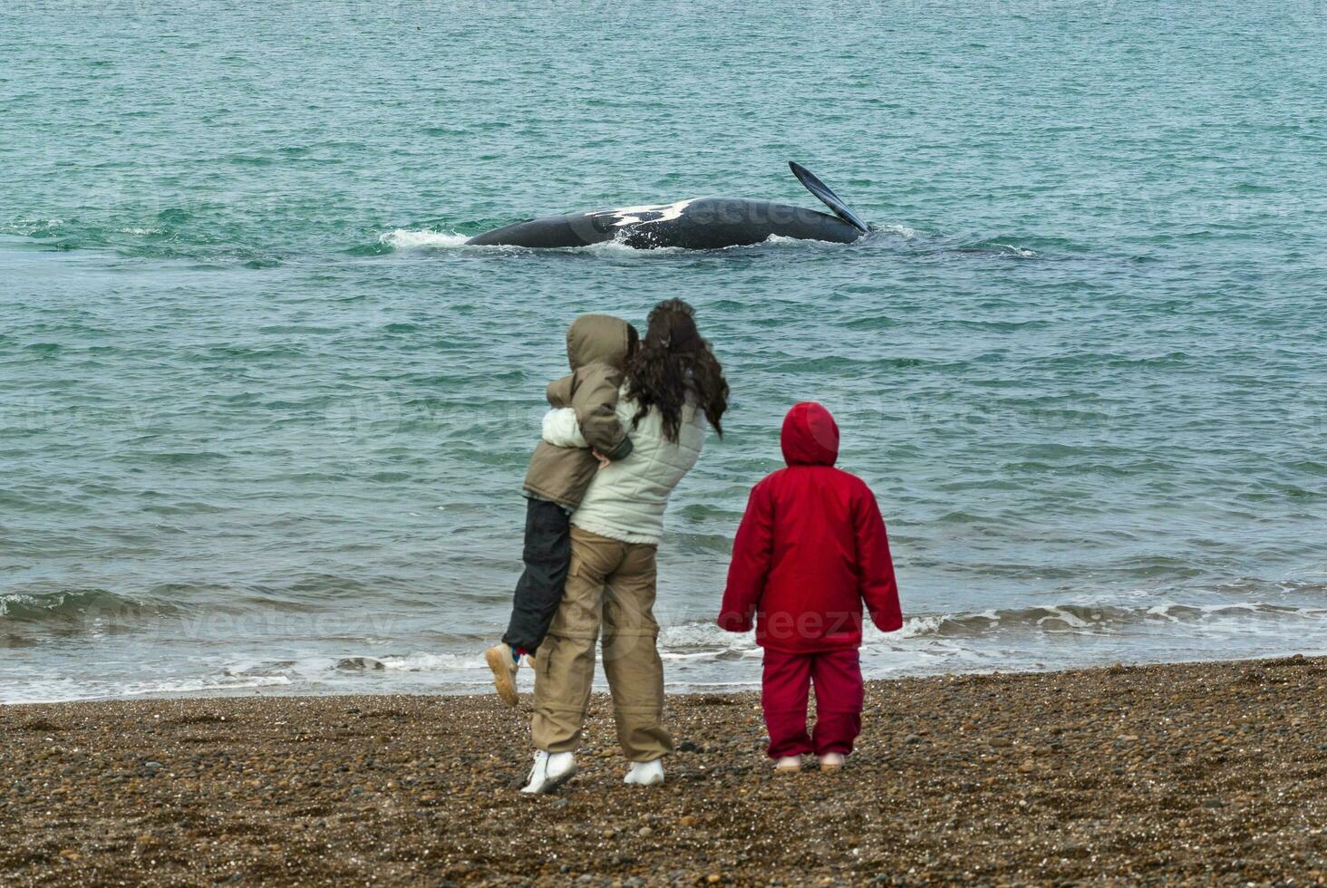 turisti Guardando balene, osservazione a partire dal il costa foto