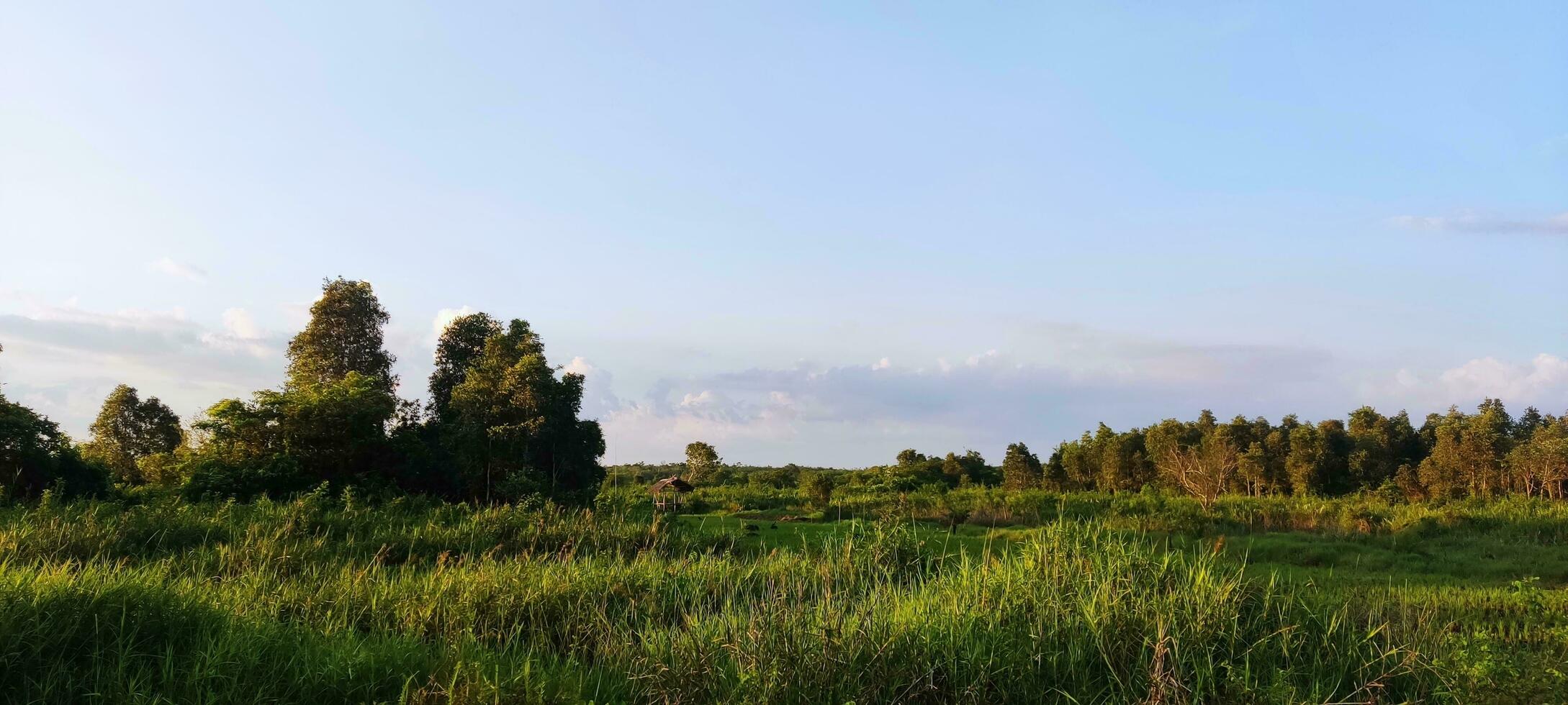 bellissimo blu cielo fotografie senza modificare