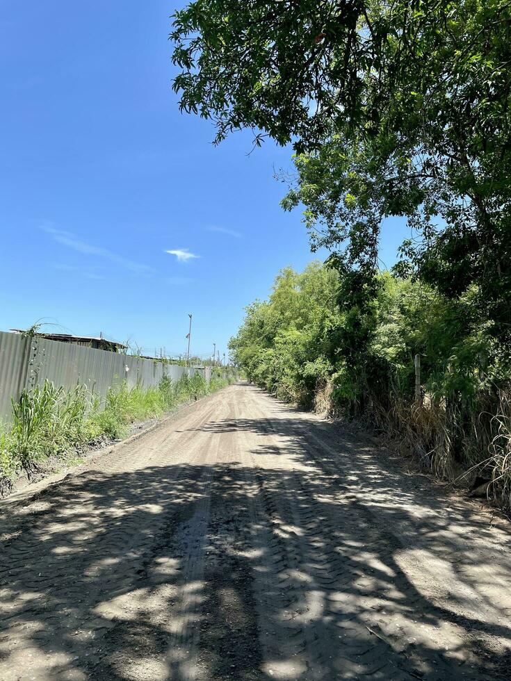 nazione strada nel il foresta foto