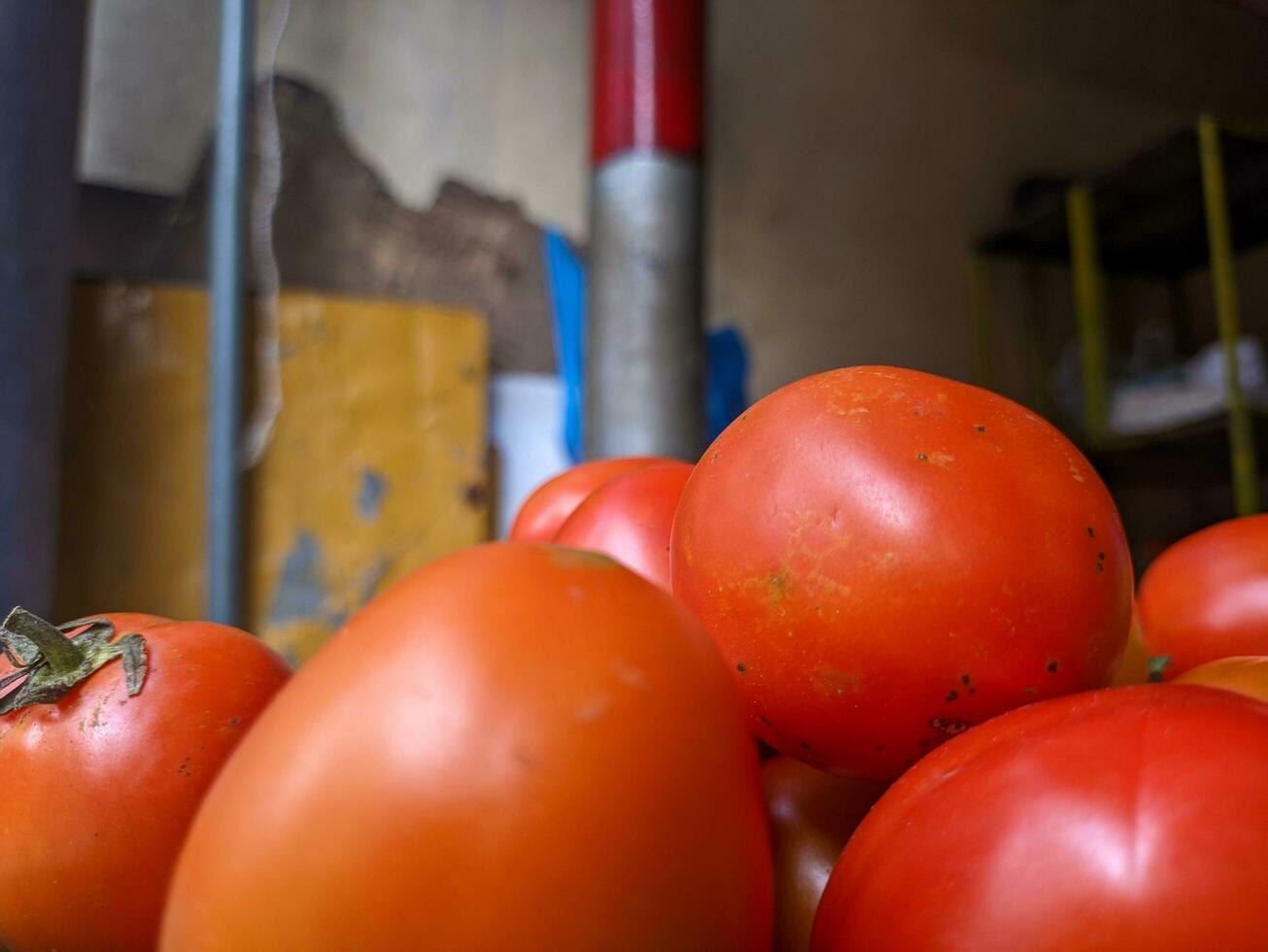 un' vicino su di Solanum lycopersicum o pomodoro foto