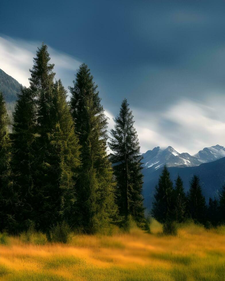 foto di alberi e montagna