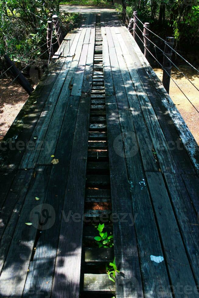 legna ponte con verde erbacce. foto