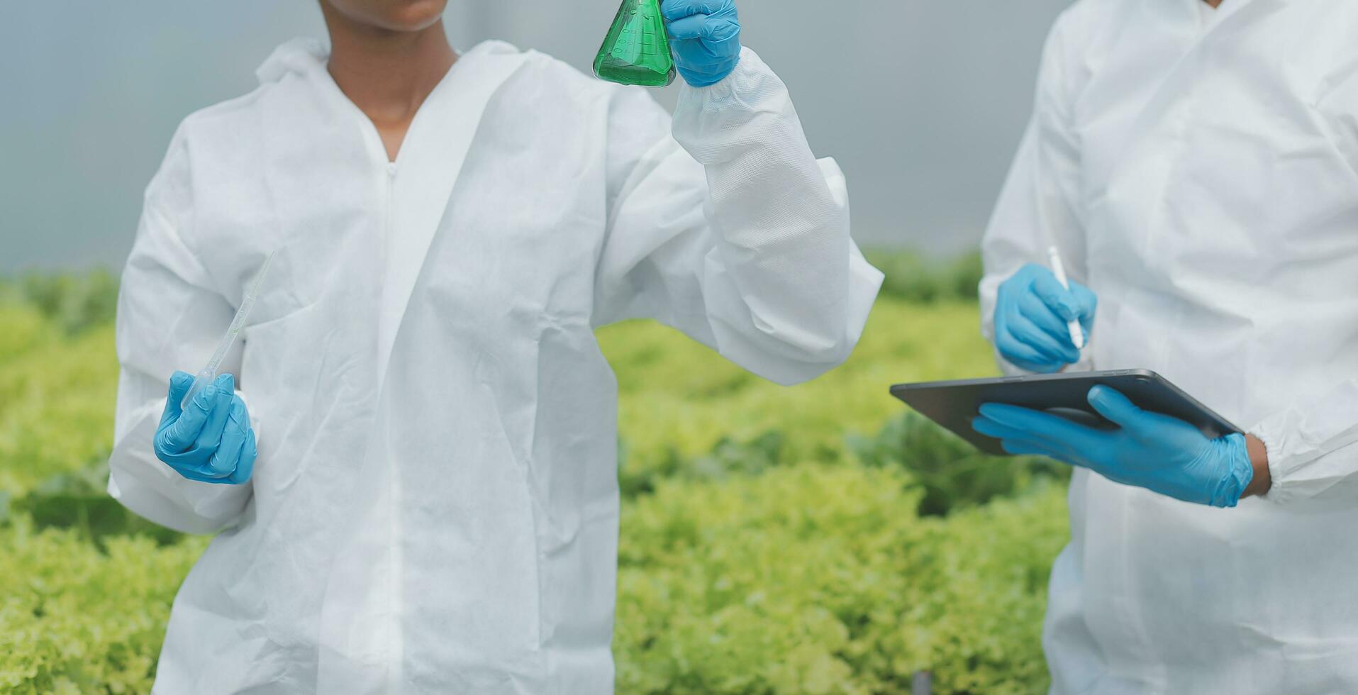 asiatico donna contadino utilizzando digitale tavoletta nel verdura giardino a serra, attività commerciale agricoltura tecnologia concetto, qualità inteligente contadino. foto