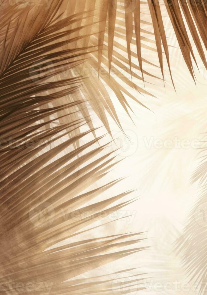 tropicale palma le foglie sfondo foto