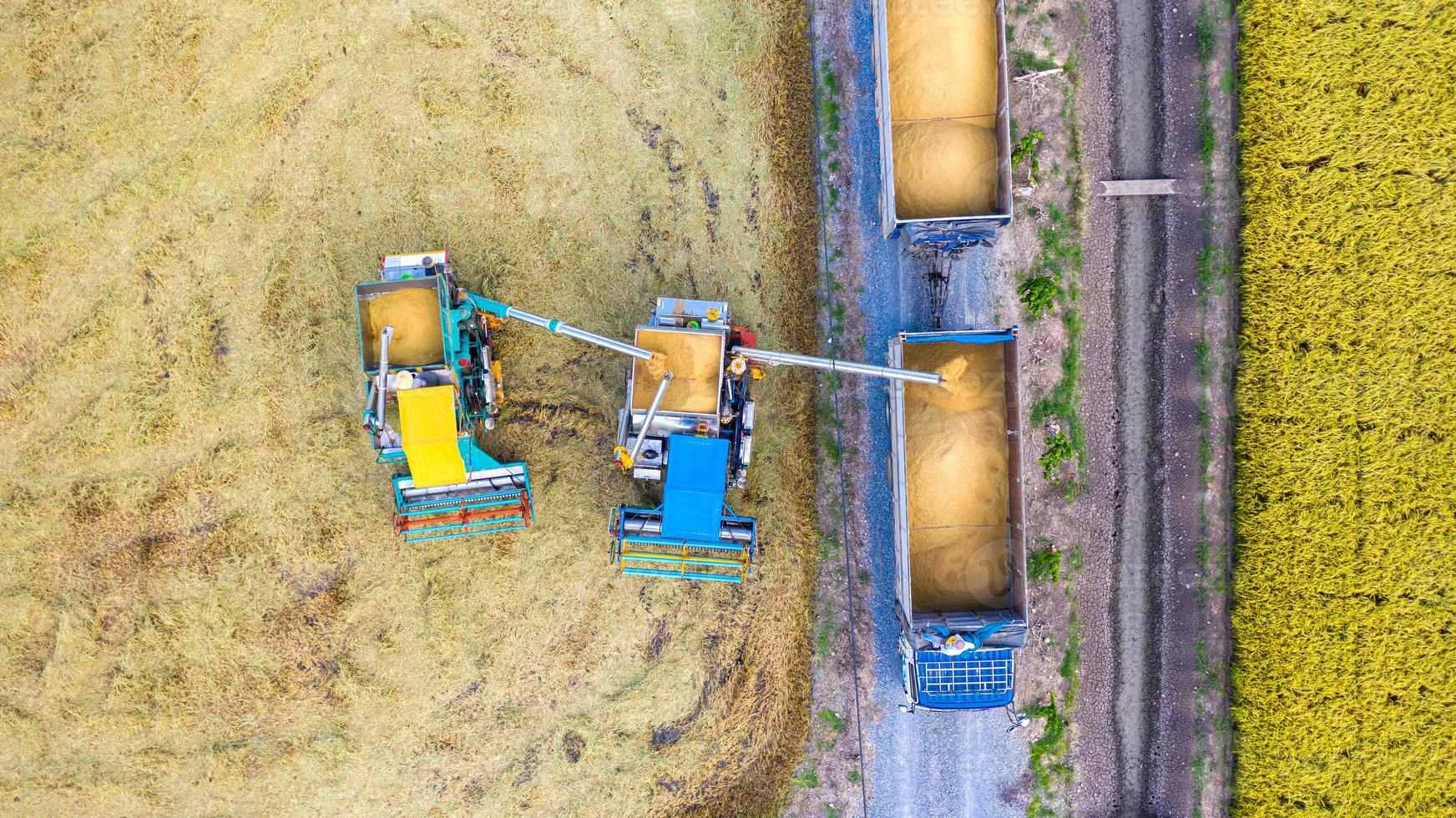 vista aerea dall'alto della mietitrice e del camion che lavorano nel campo di riso, vista dall'alto foto
