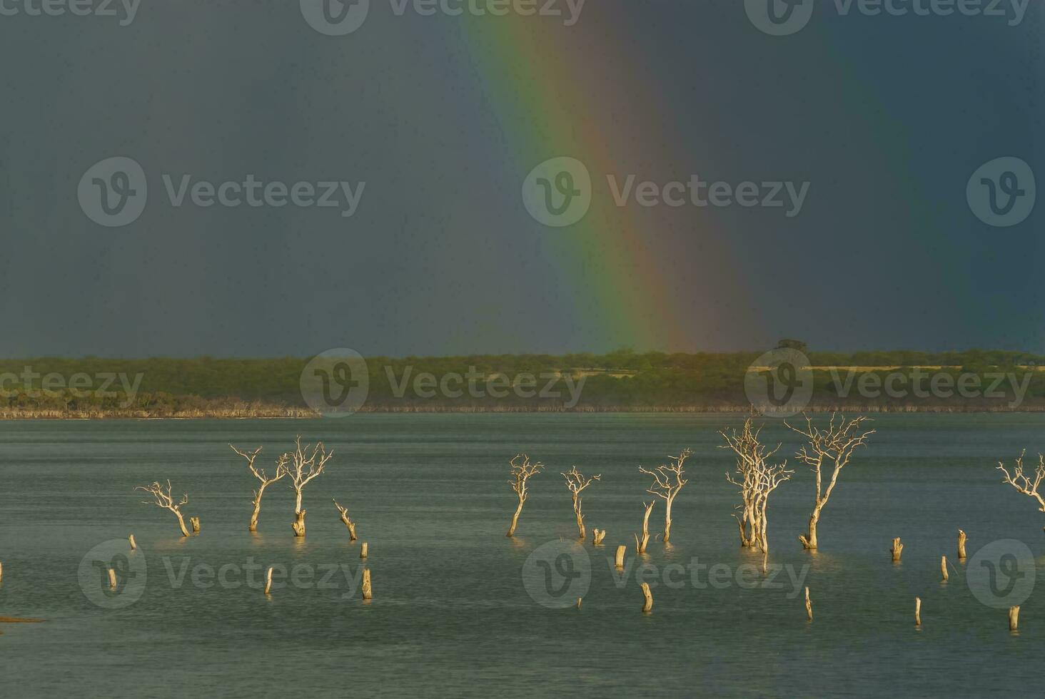 un' arcobaleno appare nel il cielo al di sopra di un' corpo di acqua foto