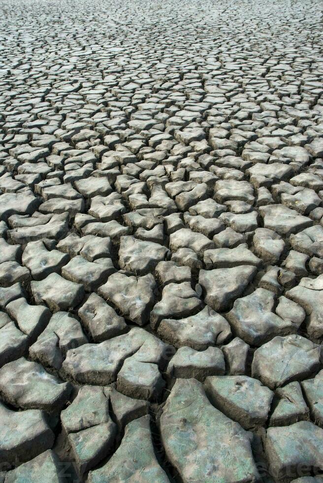 un' asciutto, Cracked campo con no acqua foto