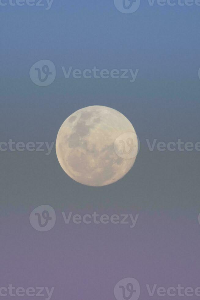 un' pieno Luna è visto nel il cielo foto