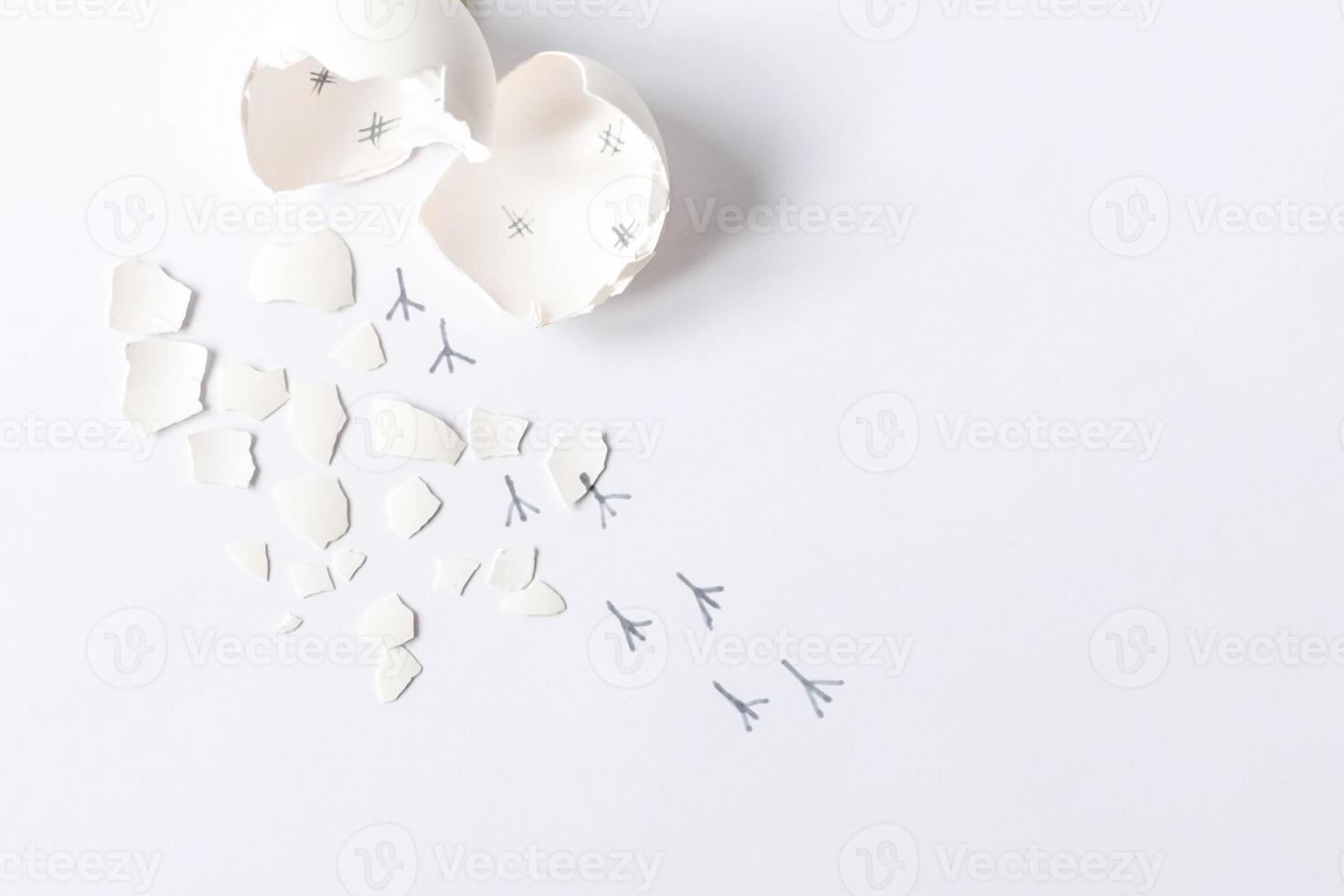 Guscio d'uovo bianco di un uovo di gallina rotto con cocci e impronte di un pulcino isolato su uno sfondo bianco.pasqua foto