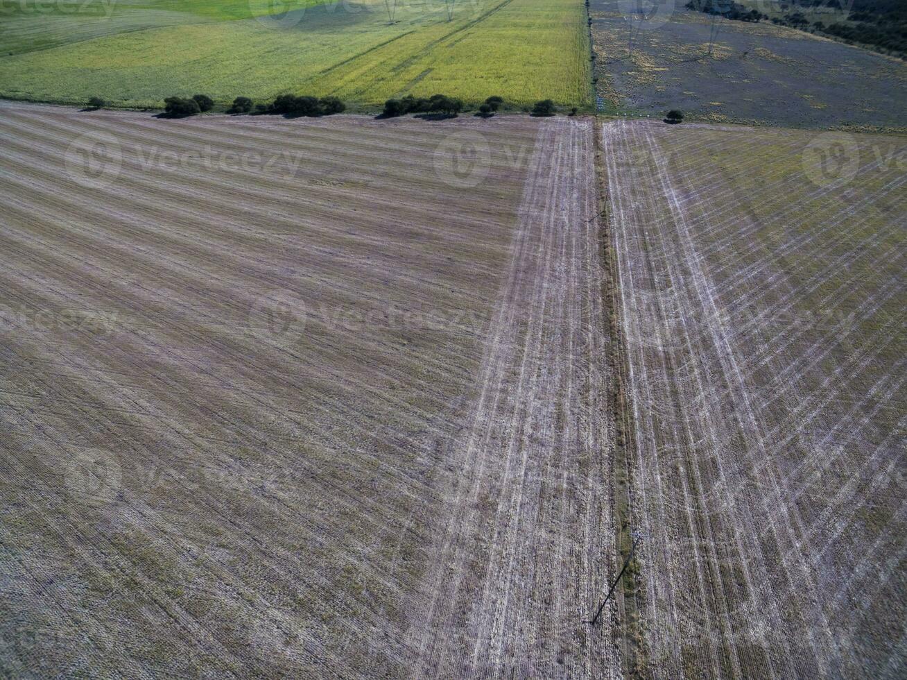 coltivato terra, aereo Visualizza, la pampa, argentina foto