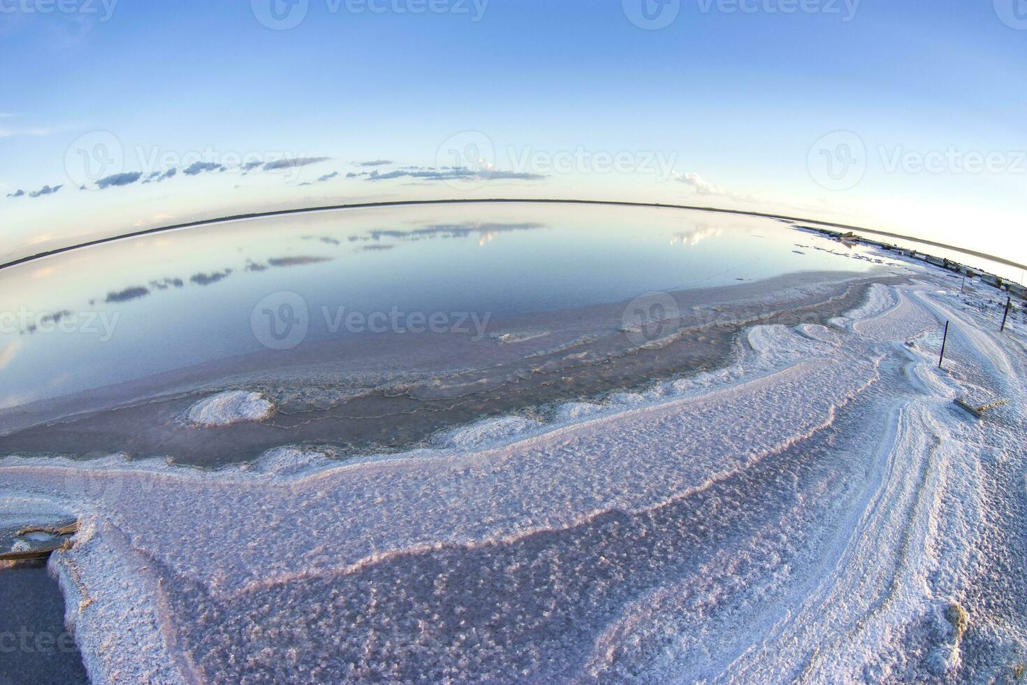 sale campo nel dunaliella salina, argentina foto