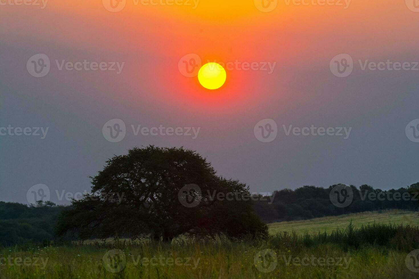 un' grande sole è visto nel il cielo al di sopra di un' campo foto