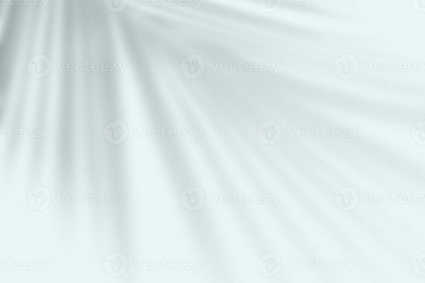 foglia di ombra su bianca sfondo foto