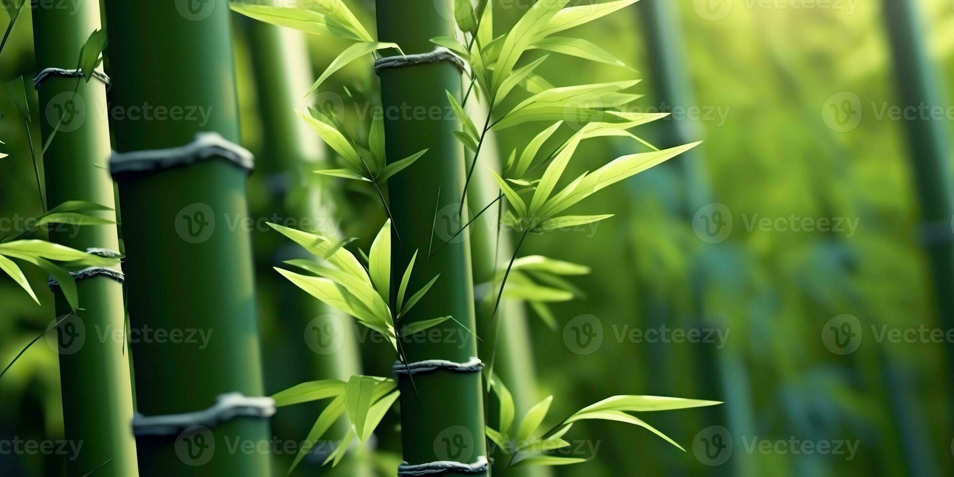 ai generato. ai generativo. eco verde foglia pianta albero bambù. asiatico Giappone Cinese cultura tradizione vibrazione. grafico arte foto