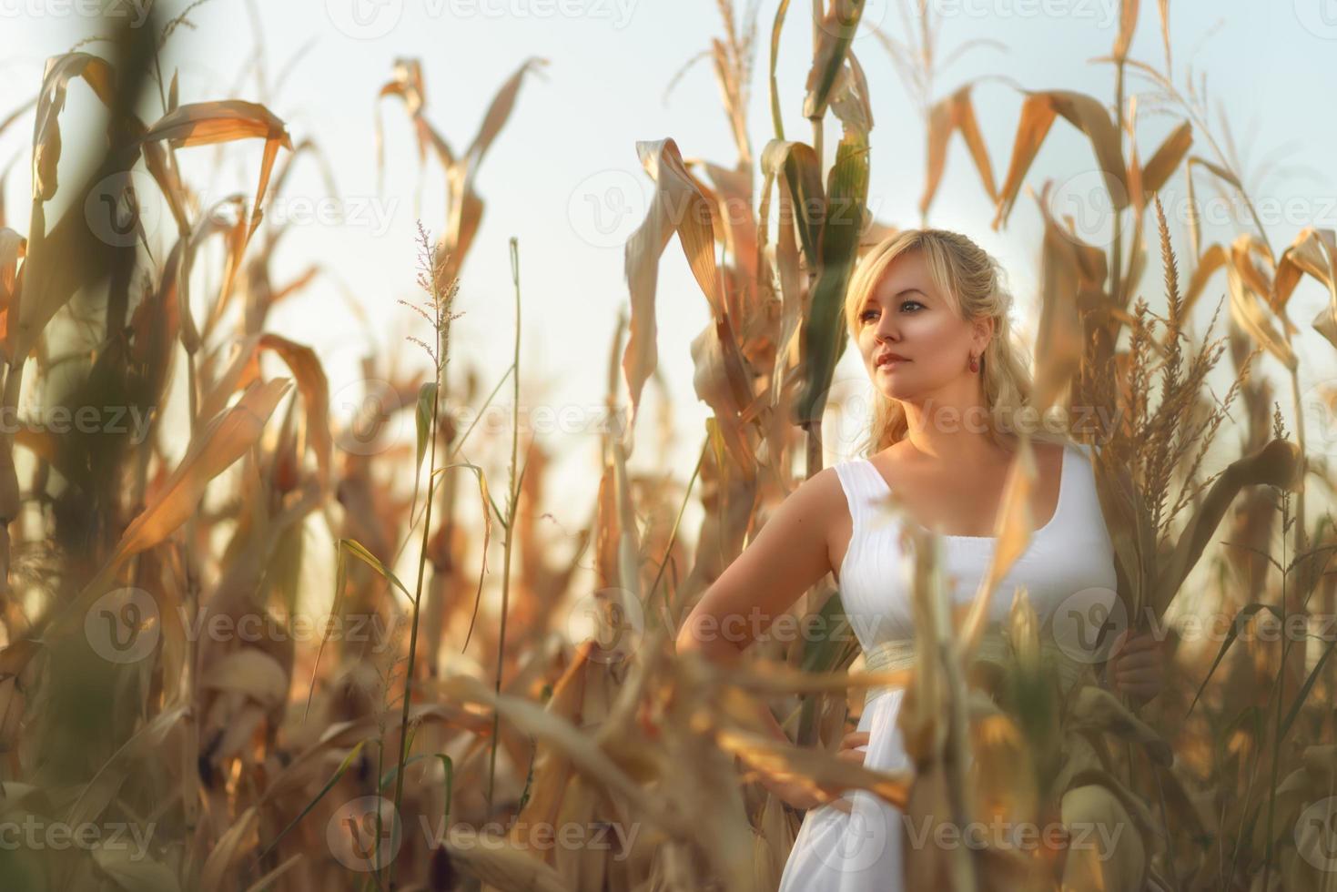 donna in un abito lungo estivo bianco cammina su un campo di grano e posa nell'ora del tramonto. foto