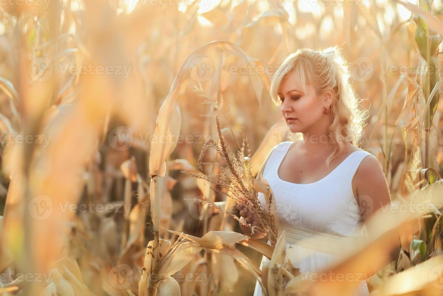 donna in un abito lungo estivo bianco cammina su un campo di grano e posa nell'ora del tramonto. foto