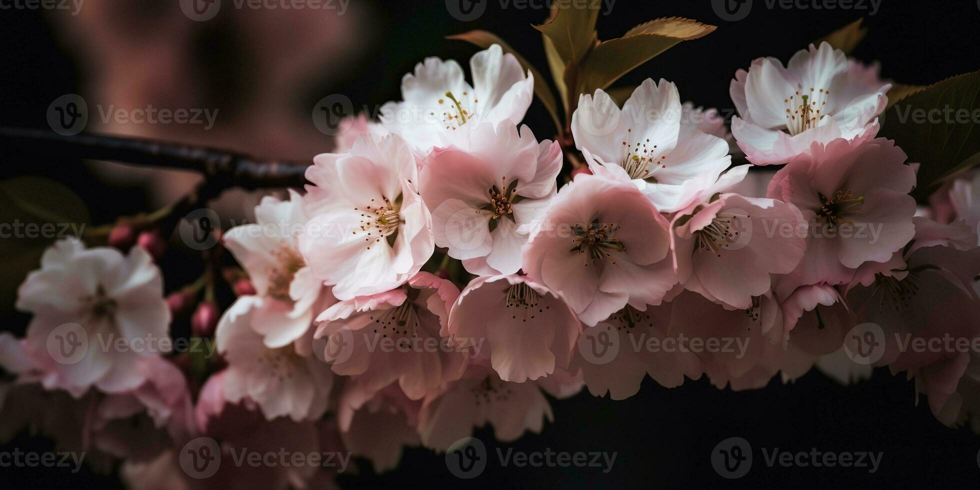 ai generato. ai generativo. ciliegia fiorire fioritura fiore albero pianta. decorativo romantico botanico vibrazione. grafico arte foto