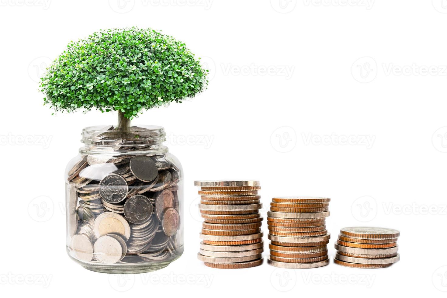 albero sulle monete di risparmio dei soldi a disposizione, concetto di investimento di finanza aziendale. foto